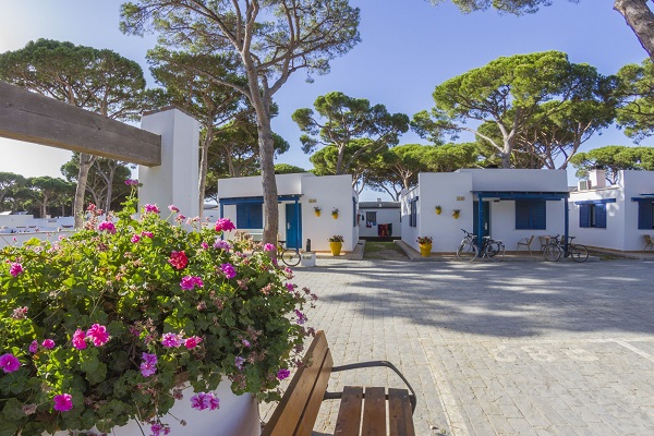 campings/espana/andalucia/cadiz/costa/Pinar San José/47de24fb2918bc361b65ca8eb5400e29.jpg
